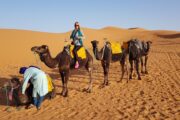 Best Of Morocco 11-Day Tour From Marrakech