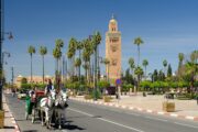 Morocco 13 Days Desert Trip from casablanca